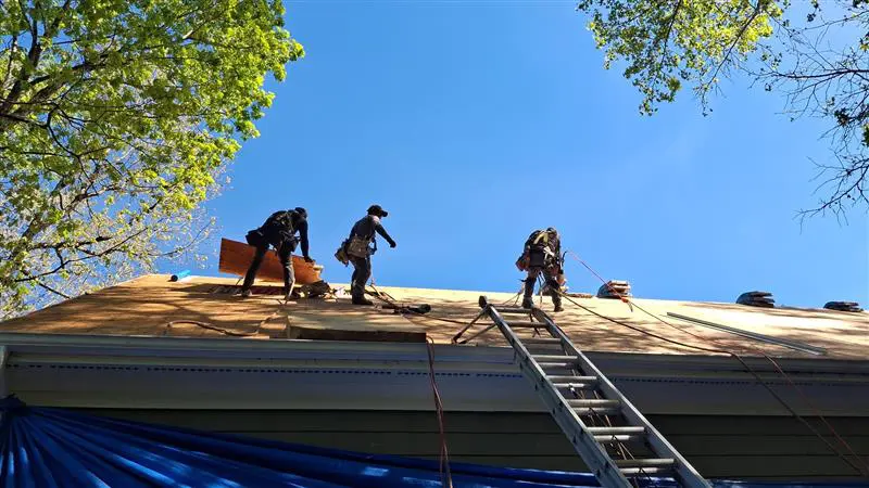 Blandex vs OSB Roof Sheathing: Which Is Better for North Carolina Homes?