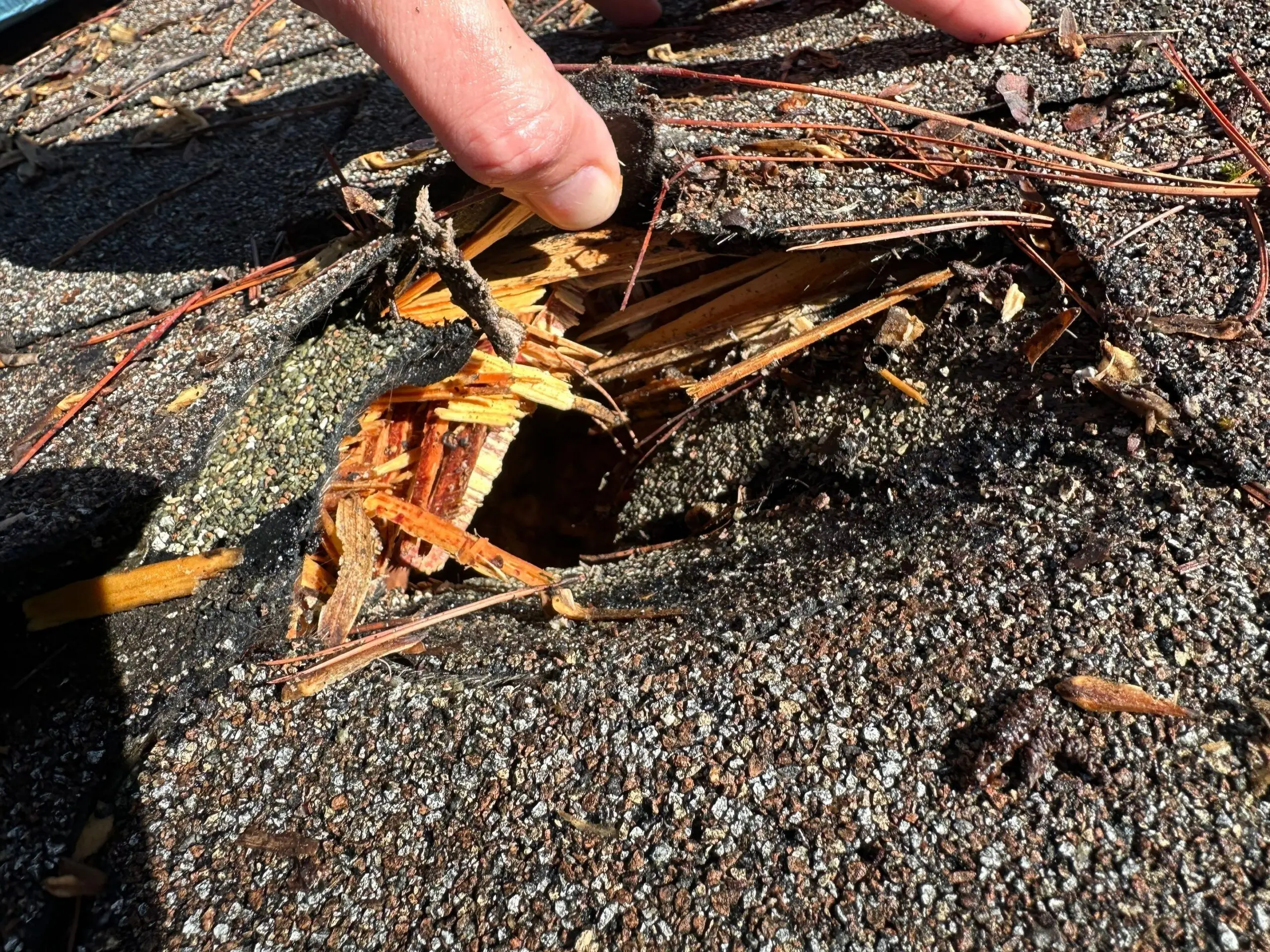 roof leak repair cary NC