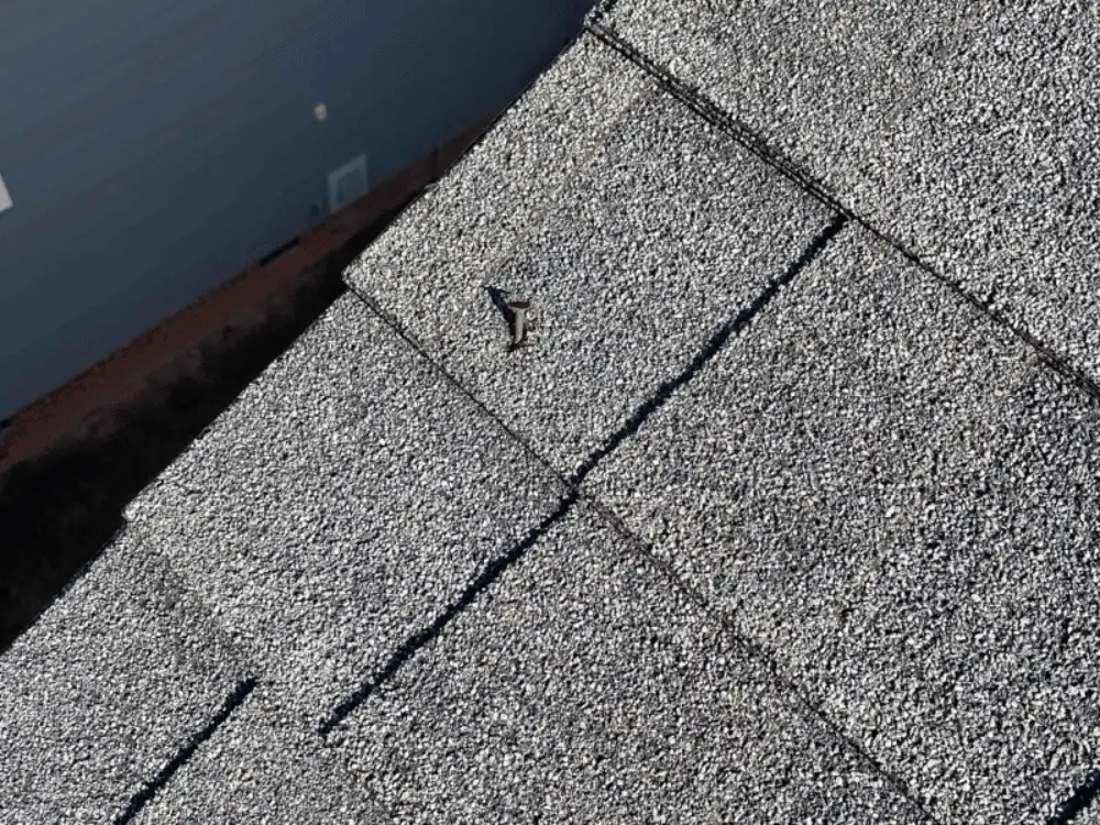 roof nail pop that pushed through shingle