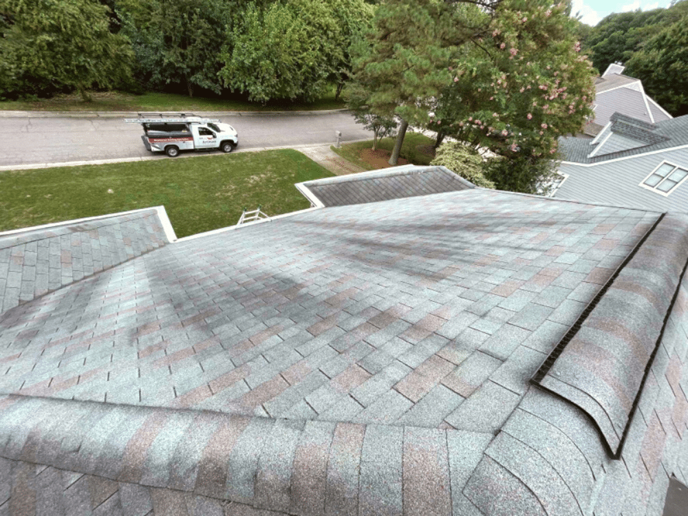 Artisan technician inspects roof with black algae roof streaks