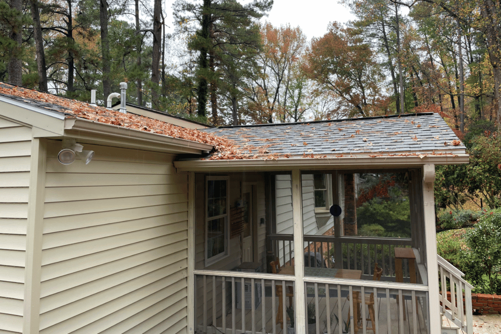 Roof with leaves and debris