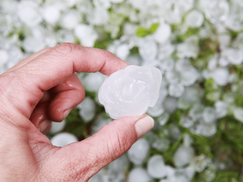 Large piece of hail