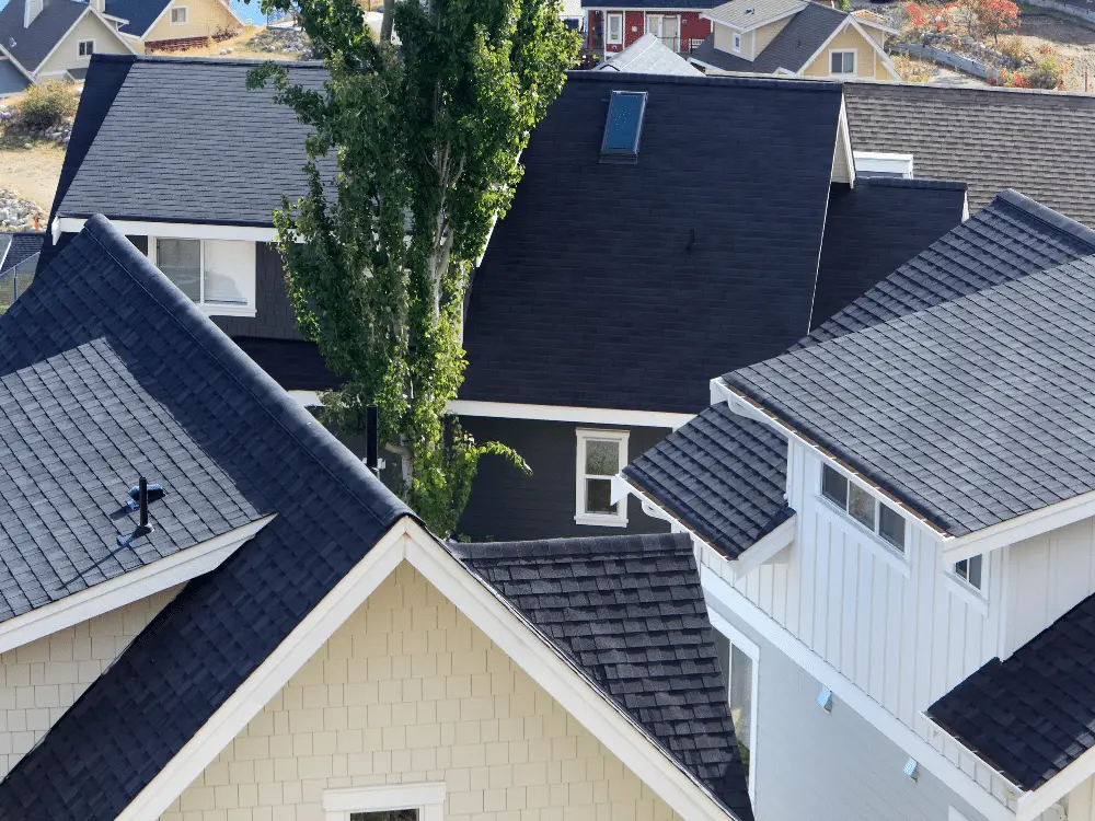 Neighborhood with recent roof replacements