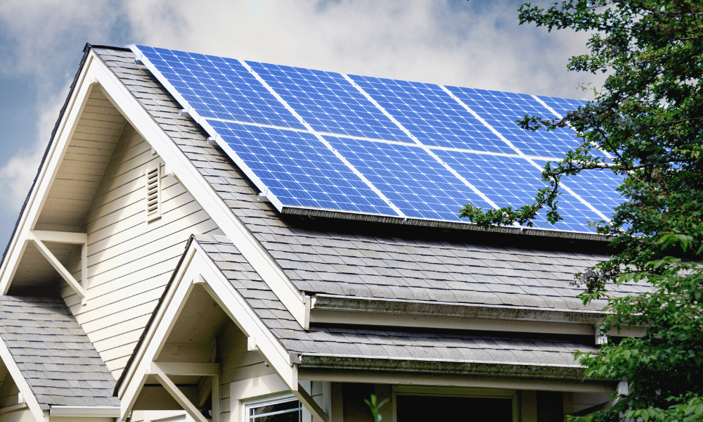 Solar panels on silver birch roof