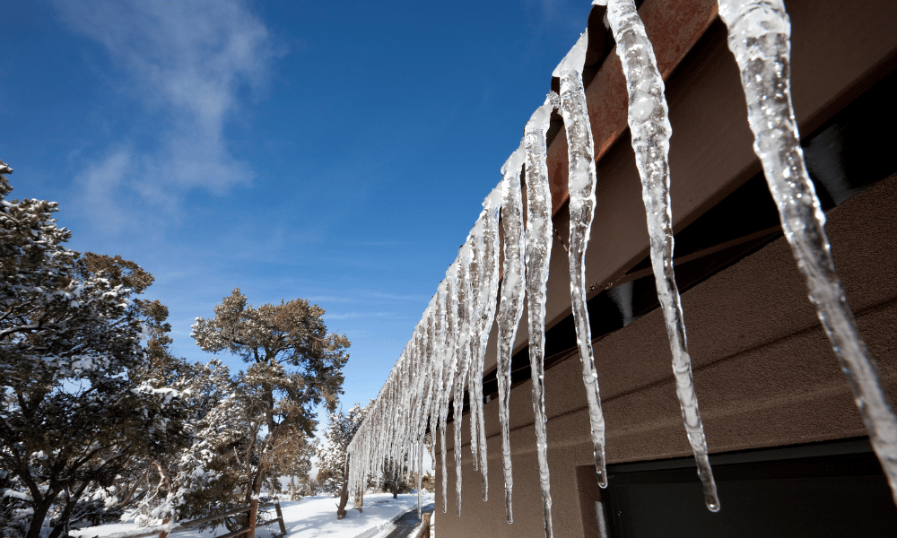 icicles in the sunshine