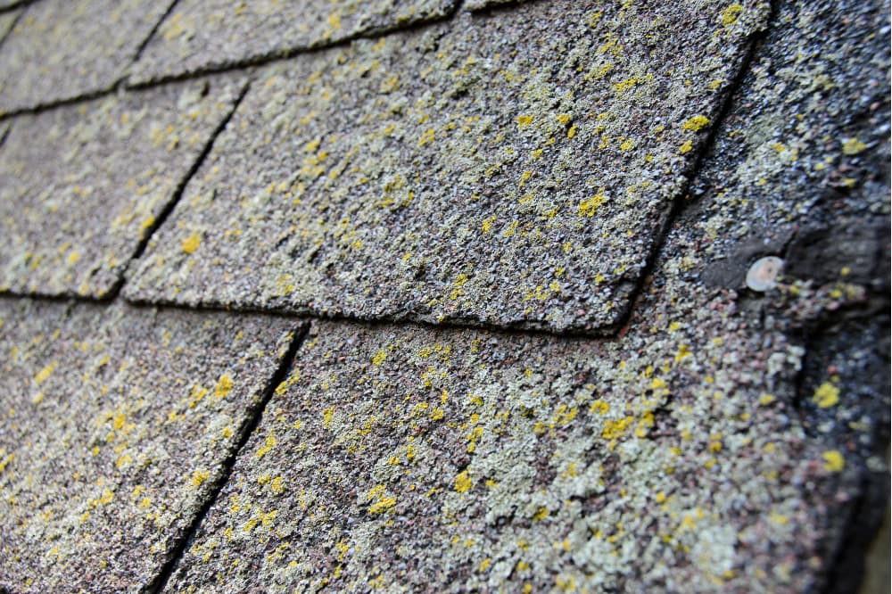 Old dirty composite shingles that need roof replacement