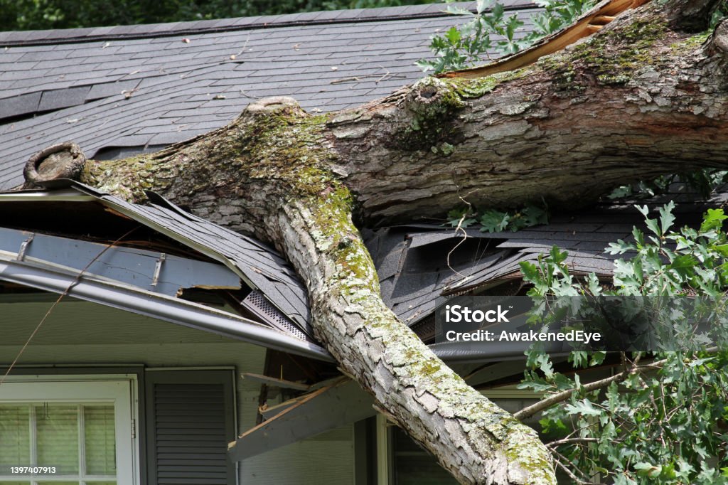 Insurance Claims and Financing Available
