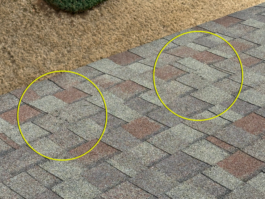 Roof Repair Preston Cary NC