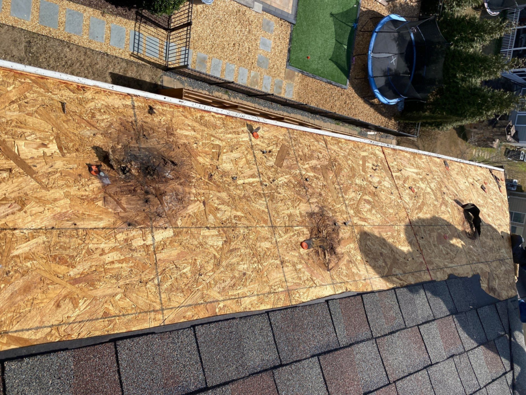 Roof Damage in Preston Cary NC - Roof repair job