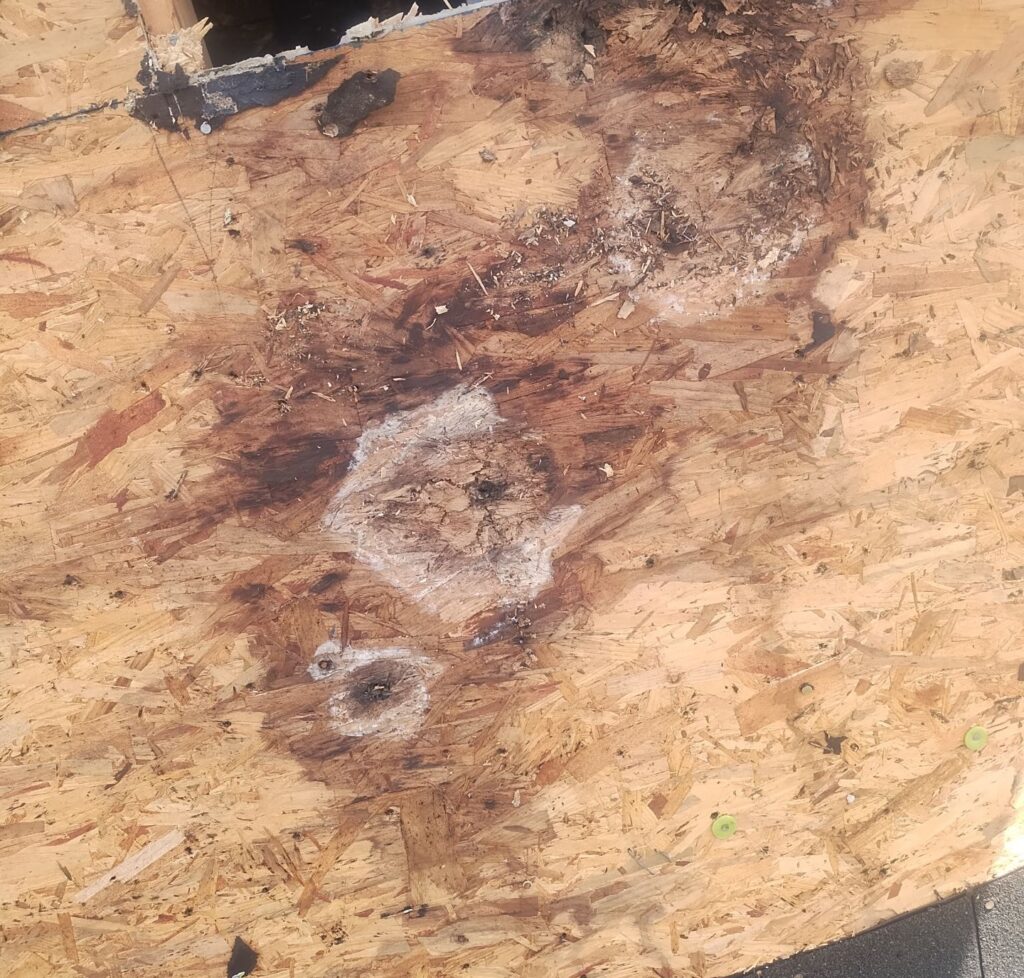Roof Deck Damage